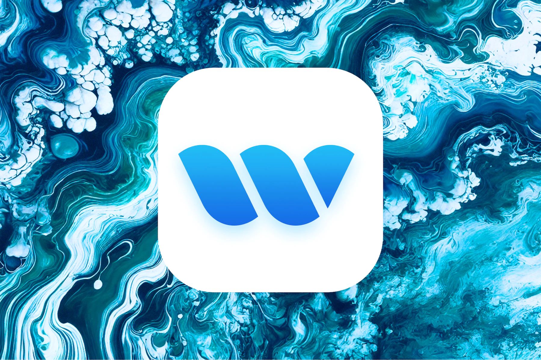 Whalesync project